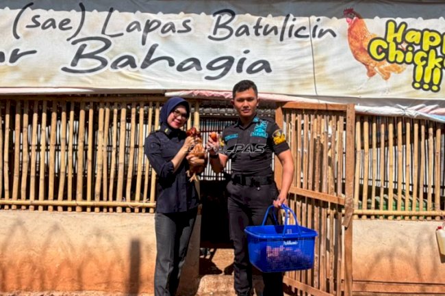 Produktivitas Meningkat, Ayam Layer Lapas Batulicin Hasilkan 211 Butir Telur