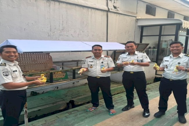 Perkuat Kemandirian Pangan, Lapas Mojokerto Lepas 102 Bibit Itik untuk Ketahanan Pangan