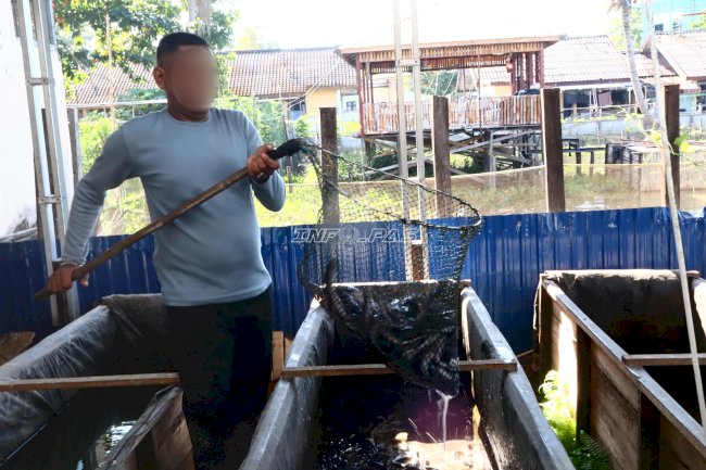 Panen 50 Kg Kangkung dan Lele, Lapas Amuntai Dukung Ketahanan Pangan