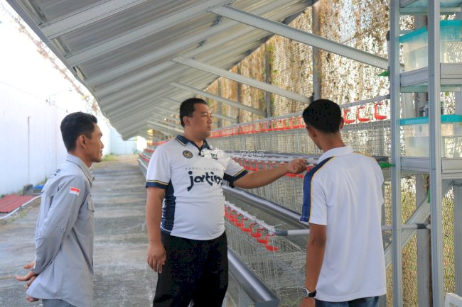 Lapas Pemuda Madiun Siapkan 1.000 Kandang Ayam Petelur Dukung Ketahanan Pangan