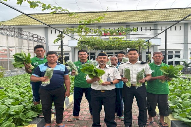 Panen Sawi Capai 25 Kg, Lapas Luwuk Buktikan Kontribusi Program Ketahanan Pangan