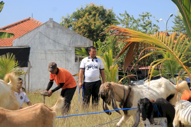 Lapas Pemuda Madiun Manfaatkan Kambing Jadi Pengendali Alami Gulma di Lahan Perkebunan