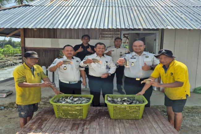 Dukung Ketahanan Pangan, Lapas Parigi Panen 53 Kilogram Ikan di Area SAE