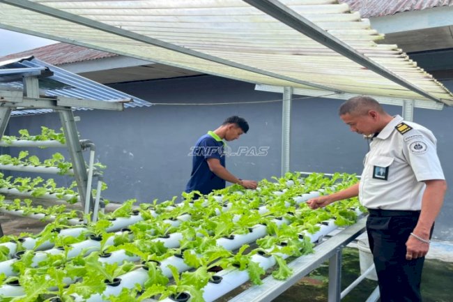 Rutan Ambon Produktif dan Kreatif melalui Hortikultura Hidroponik dan Daur Ulang Limbah Kelapa