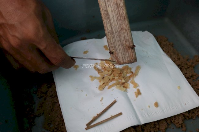 Panen 25 Gram Telur Maggot, Lapas Batulicin Jaga Produktivitas Budidaya