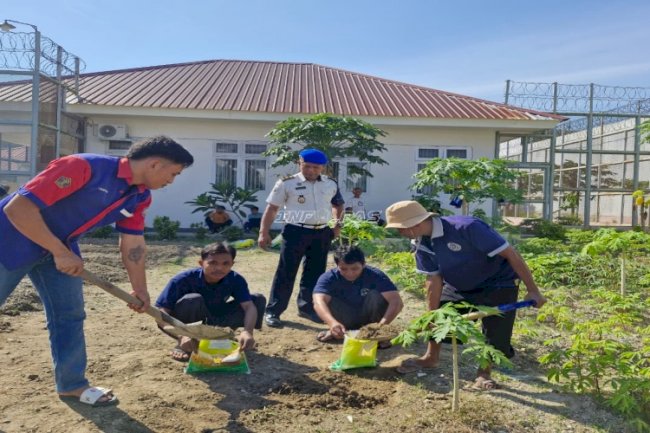 Dukung Ketahanan Pangan, Rutan Donggala Lakukan Pembibitan Papaya California