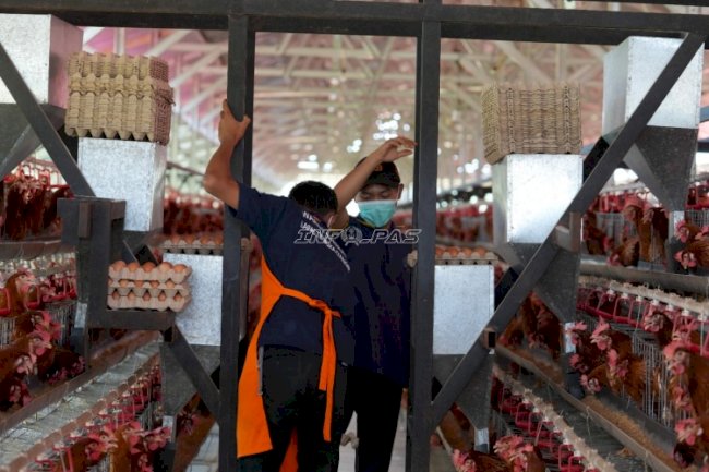 Lapas Terbuka Ciangir Bekali Warga Binaan dengan Pelatihan Peternakan dan Perkebunan