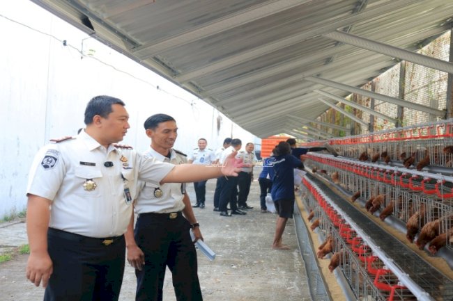 Tempati Kandang Baru, 1.000 Ayam Petelur Lapas Pemuda Madiun Siap Dukung Ketahanan Pangan