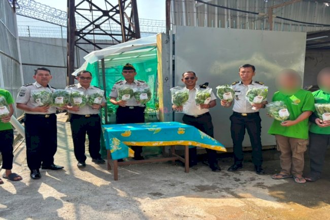 Lapas Narkotika Pangkalpinang Panen 64 Kilogram Pakcoy Hidroponik, Perkuat Pembinaan Kemandirian Warga Binaan