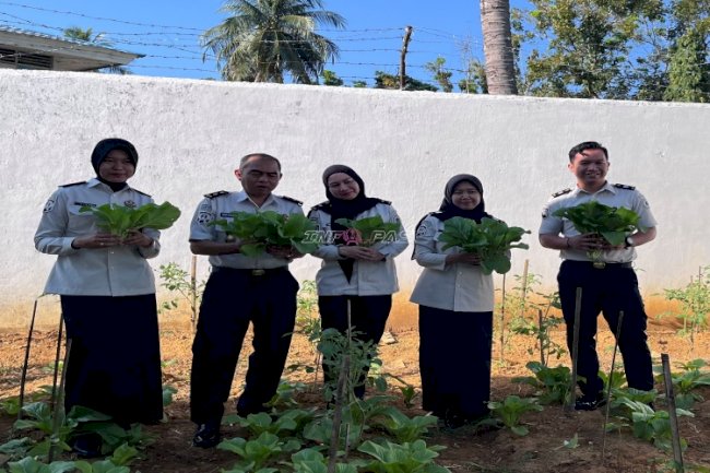 Rutan Barabai Panen Sawi, Wujud Nyata Dukung Program Ketahanan Pangan