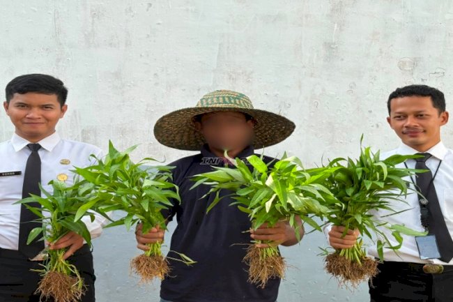 Panen 15 Kilogram Kangkung, Warga Binaan Lapas Kotabaru Petik Hasil Pembinaan