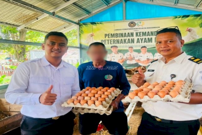 Lapas Banjarmasin Hasilkan 106 Butir Telur dari Dua Sistem Budidaya Ayam Petelur di SAE 1 dan 2