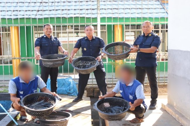 Lapas Tanjung Panen 30 Kg Lele, Perkuat Kemandirian Pangan Warga Binaan