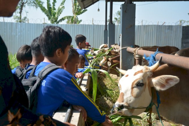 Agro Wisata Edukasi Pemasyarakatan Lapas Terbuka Kendal Terima Kunjungan Outing Class SDN 2 Bleder
