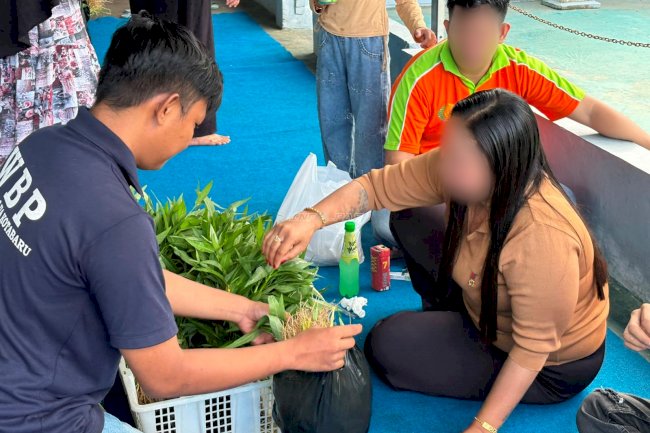 Kangkung Budidaya Warga Binaan Lapas Kotabaru Diminati Pengunjung