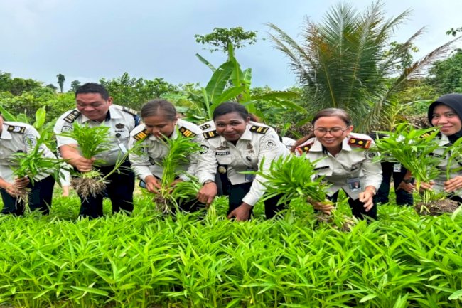 LPKA Manokwari Kembali Panen Kangkung Kloter Kedua, Perkuat Pembinaan Kemandirian Anak Binaan