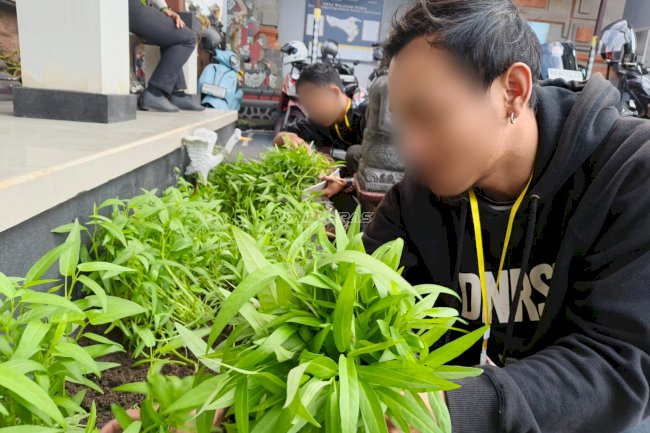 Panen Kangkung dan Jamur, Bapas Denpasar Perkuat Ketahanan Pangan