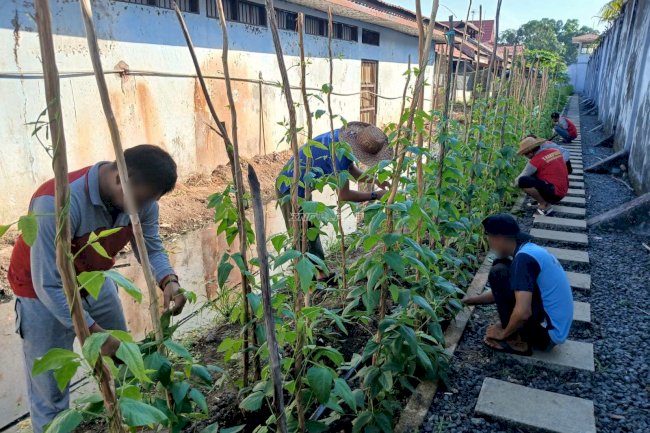Rutan Marabahan Perkuat Kemandirian Pangan melalui Budidaya Hortikultura