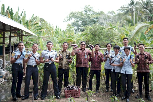 Dari Kebun Menuju Kemandirian, Lapas Tabanan Kembali Panen Terung