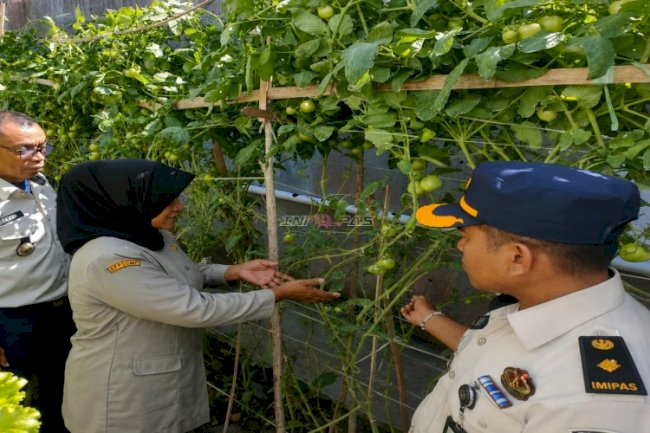 Optimalisasi Potensi Pertanian Perkuat Ketahanan Pangan, Lapas Wahai Gandeng BPP Seram Utara