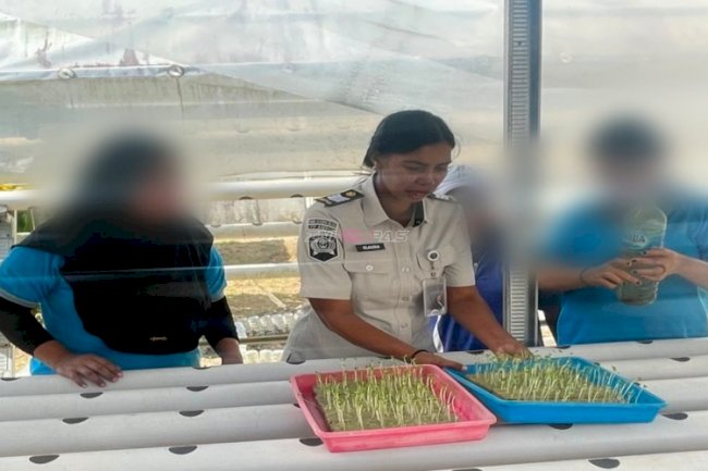 Tingkatkan Keterampilan Warga Binaan, Lapas Perempuan Ambon Siapkan Budidaya Hidroponik Pakcoy