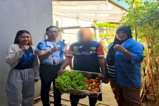 Warga Binaan Lapas Wahai Panen Pujian, Sayur Segar Dibeli Masyarakat