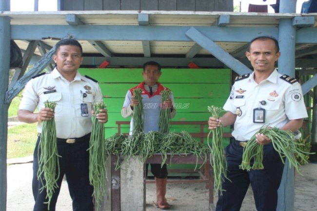 Panen Ketiga Bulan Juli, Lapas Piru Teguhkan Pembinaan Produktif Berbasis Ketahanan Pangan