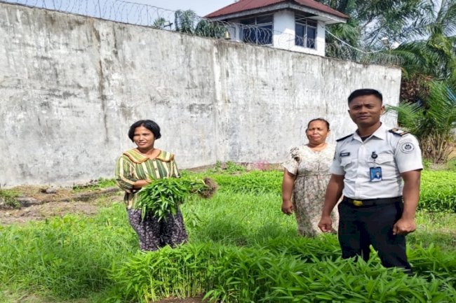 Warga Mulai Datangi Sarana Asimilasi Lapas Labuhan Bilik untuk Beli Kangkung Segar