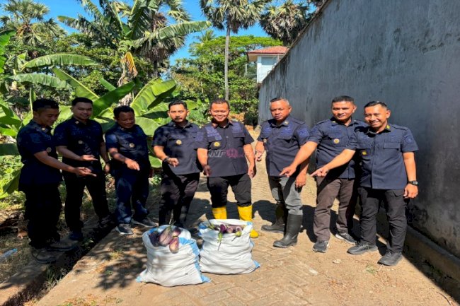 Lapas Takalar Panen 34 Kilogram Terung, Wujud Keberhasilan Pembinaan dan Dukung Kemandirian Pangan
