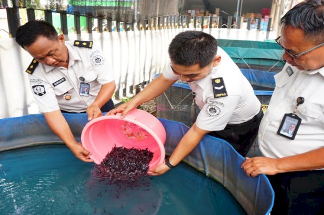 Konsistensi Wujudkan Kemandirian Pangan, Lapas Mojokerto Tebar 12.000 Benih Lele