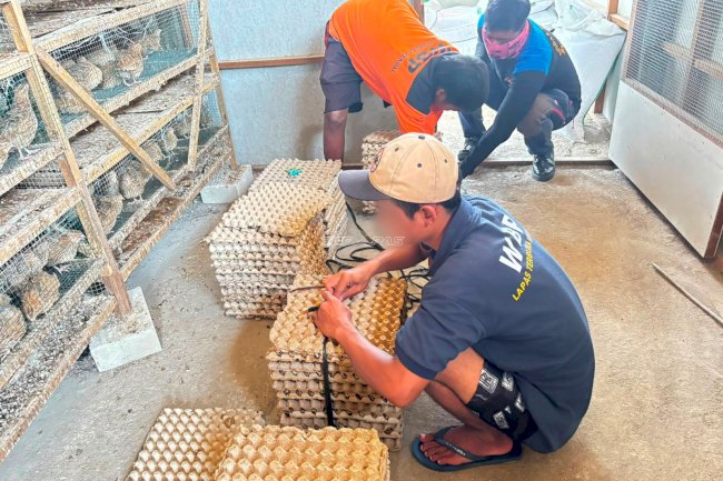 Telur Puyuh dan Pupuk Lapas Terbuka Kendal Kian Diminati Masyarakat
