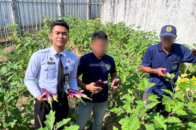 Rutan Barabai Panen 30 Kilogram Terung dan Kembang Kol