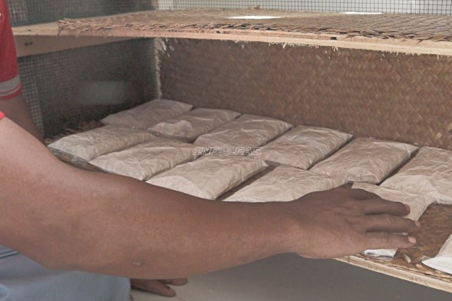 Konsisten Produksi Tempe, Lapas Batulicin Perkuat Pembinaan Kemandirian Berbasis Ketahanan Pangan