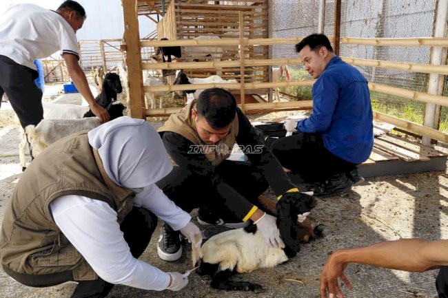 Tingkatkan Kualitas Pembinaan, Lapas Pemuda Madiun Gandeng DKPP Periksa Kesehatan Ternak
