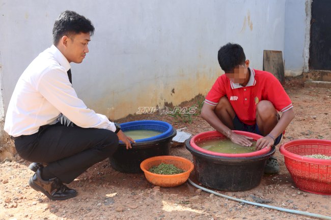 Panen 17 Kg Tauge, Lapas Batulicin Perkuat Ketahanan Pangan