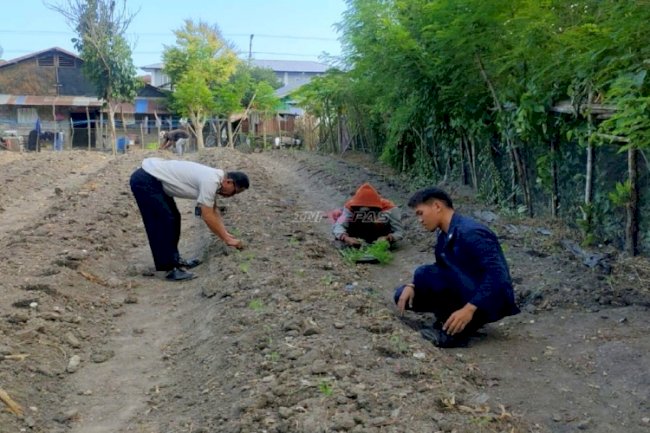 Perkuat Kemandirian Pangan, Lapas Wahai Tambah Bibit Tomat di Lahan Produktif