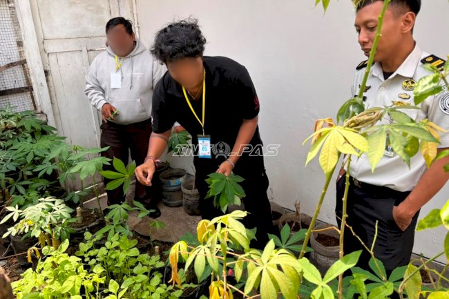 Ketahanan Pangan Berkelanjutan, Bapas Denpasar Panen Hasil Budidaya bersama Klien