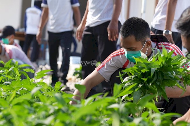 LPKA Martapura Panen 30 Kilogram Kangkung Hasil Budidaya Anak Binaan