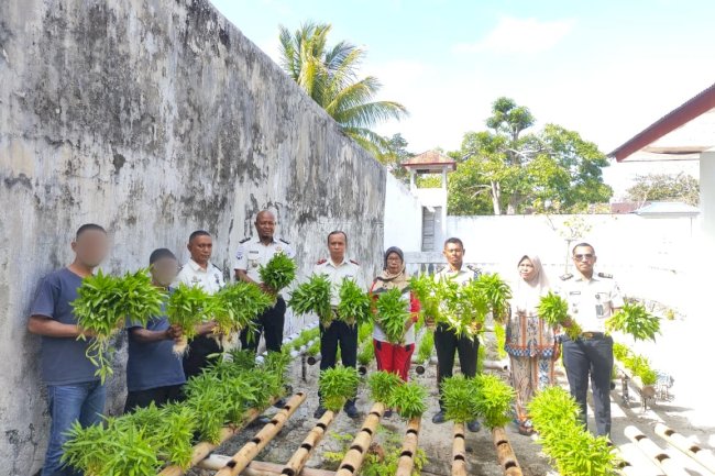 Warga Binaan Lapas Geser Panen 170 Ikat Kangkung Hidroponik