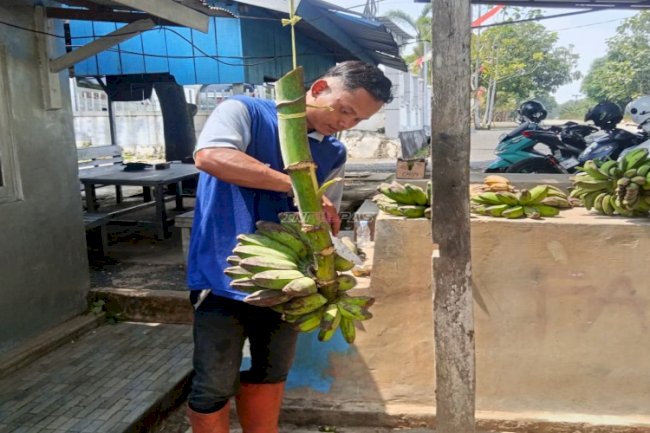 Warga Binaan Lapas Tanjung Panen 20 Sisir Pisang Hasil Pembinaan Kemandirian