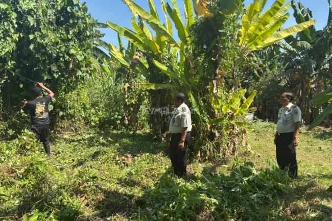 Lapas Tolitoli Buka Lahan 882 Meter Persegi untuk Ketahanan Pangan