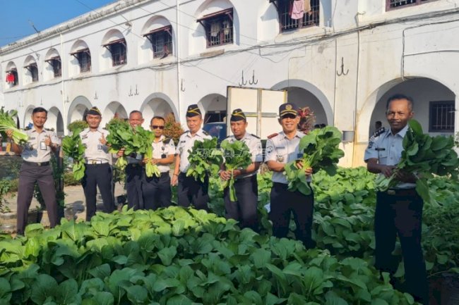 Panen 30 Kilogram Sawi, Lapas Ambarawa Perkuat Komitmen Ketahanan Pangan