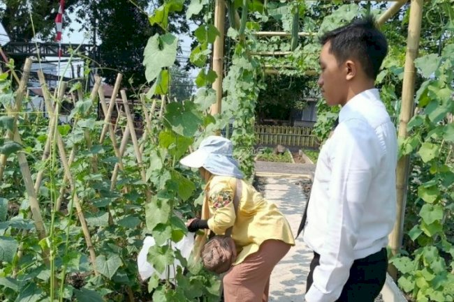 Serasa Wisata, Pedagang Pecel Petik Sendiri Timun di SAE 1 Lapas Banjarmasin