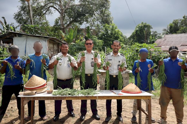 Ubah Lahan Tidur Jadi Produktif, Lapas Ambon Panen 30 Ikat Kacang Panjang