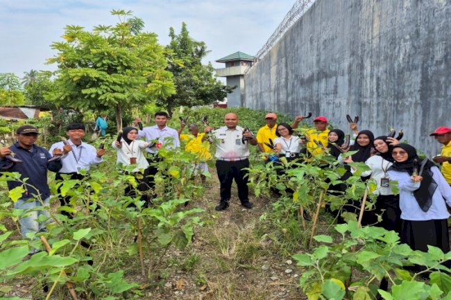 Berkah dari Kebun Sendiri, Lapas Parigi Panen 14 Kg Terung untuk Pasok Dapur Warga Binaan