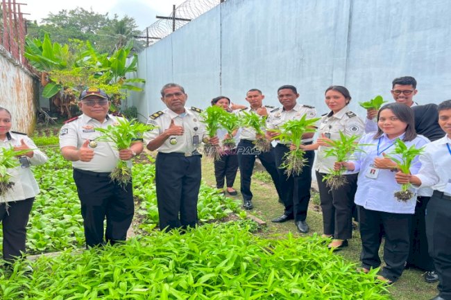Dukung Ketahanan Pangan, Panen Raya Lapas Saparua Hasilkan 71 Ikat Sayur