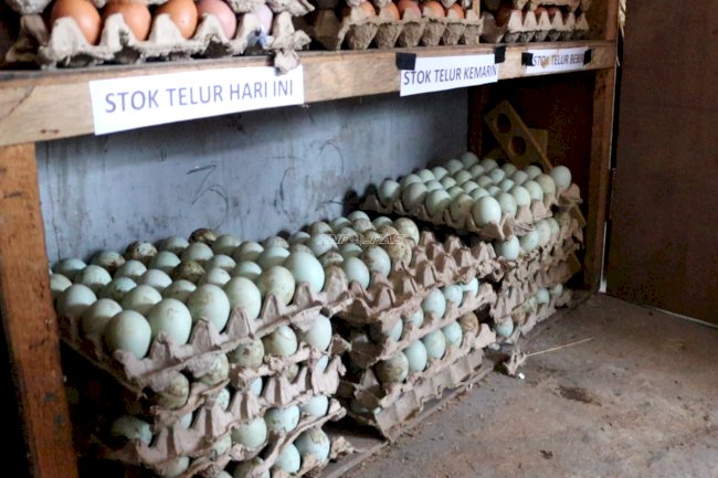 Lapas Batulicin Panen 86 Butir Telur Bebek dari Pembinaan Kemandirian