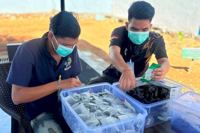 Teh Mint Laskarin Siap Dipasarkan, Warga Binaan Lapas Narkotika Karang Intan Lakukan Pengemasan