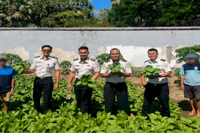 Panen 50 Kg Pakcoy, Lapas Takalar Komitmen Perkuat Ketahanan Pangan