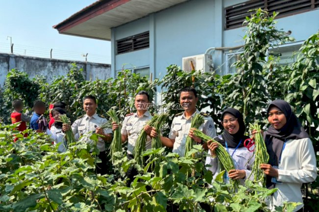 Panen Perdana bersama Karutan Baru, Rutan Marabahan Perkuat Kemandirian Pangan Warga Binaan